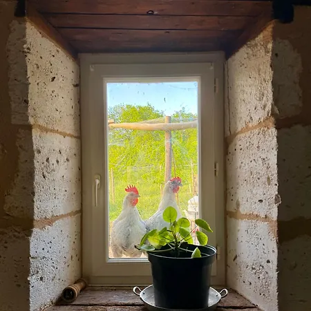 Ferme Le Coeur Des Petits Chenes Holiday home *